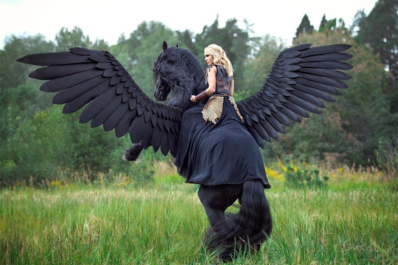 pa ocecc!!!  o pa.Co cooe  ye p, o  ...