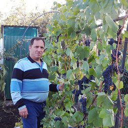 ���� ���������, ������������, 54 ���� - ��������� 24 ����� 2021