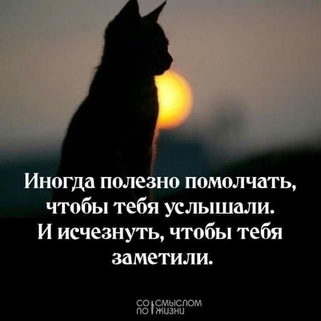  - 8  2020  21:40