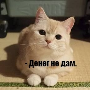       - 25  2020  19:53 - 2