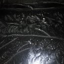 ���� �������, ��������, 52 ���� - ��������� 9 ������ 2020 � ������ ���� ����������