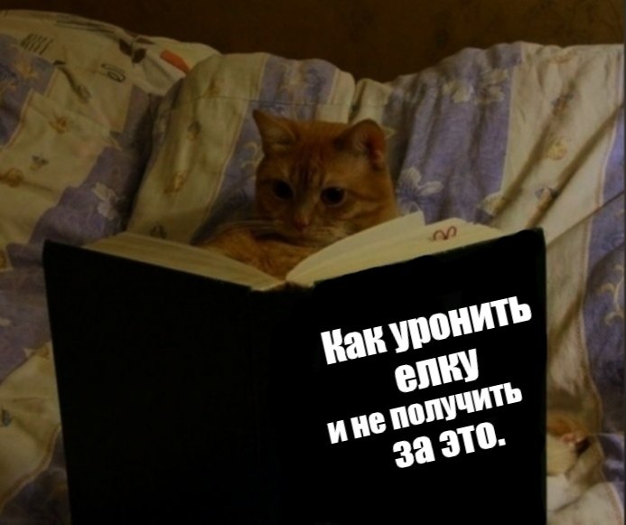     )))