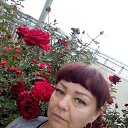 ���� �������, ���������, 46 ��� - ��������� 9 ������ 2020 � ������ ���� ����������