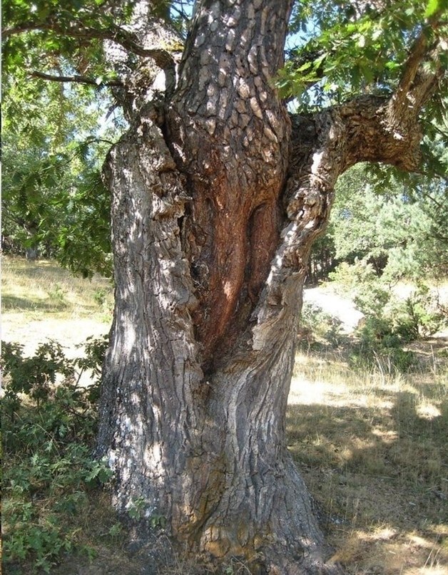   ,   ,       . ,    ...