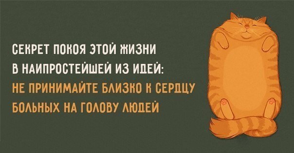    - 5  2021  20:33