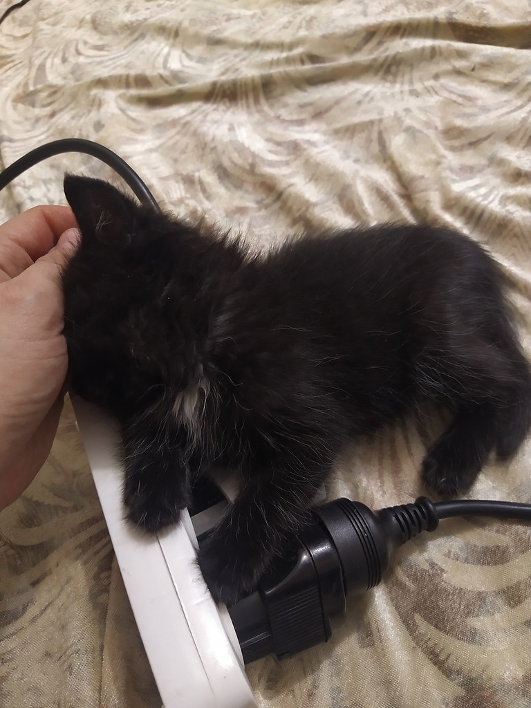 #_.  .      .     ... - 5