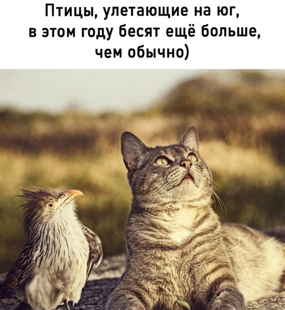  | ,  - 1  2020  18:58
