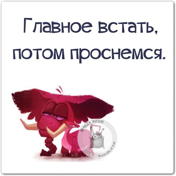 ������ ����� - 9 ����� 2021 � 01:50