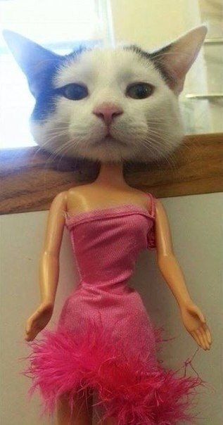- )
