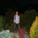  , , 42  -  28  2020    2020