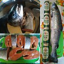  Pomka., , 51  -  7  2020    ))