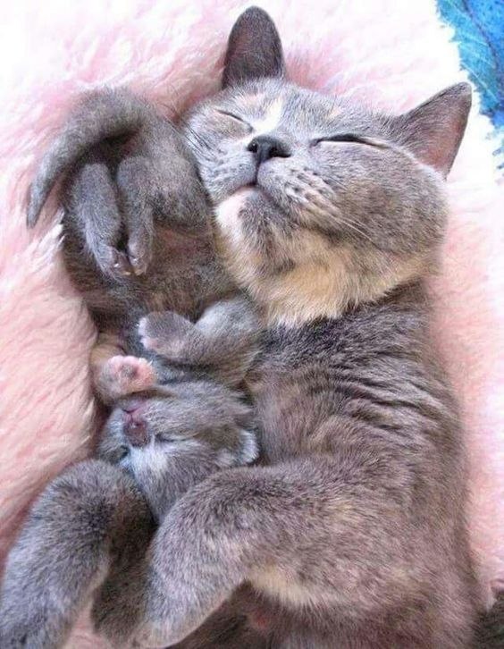      :3 - 6