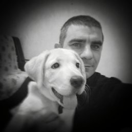 ������, ������-��-����, 42 ����