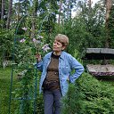 ���� �������, ������, 66 ��� - ��������� 9 ������� 2020