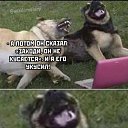 ���� ����, ���������� - ��������� 21 ������� 2020 � ������ ������ ��������