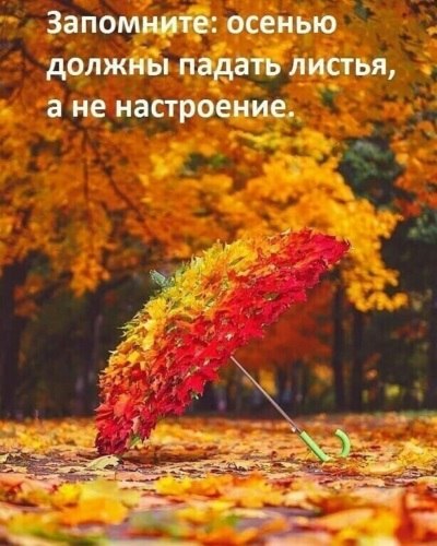   ! - 24  2020  09:48