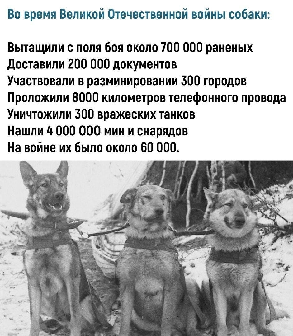  - 12  2021  09:14 - 2