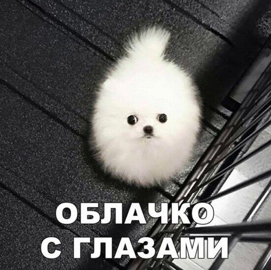 ~