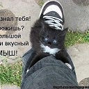  , -, 46  -  10  2021    