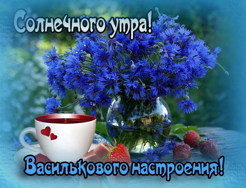   ,    . - 18  2020  22:46 - 4