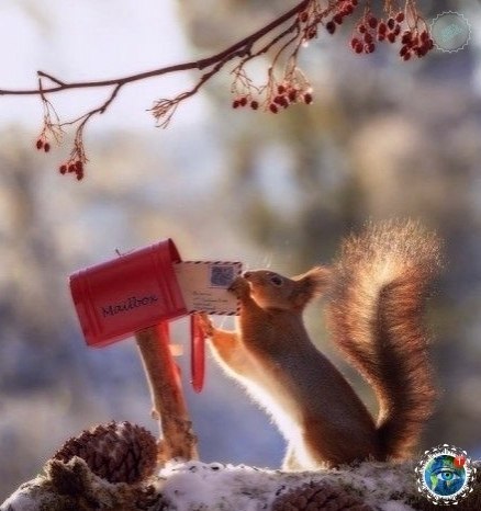 p  p oopaa oo oaoa, o  oo oo co: #