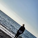 ���� �����, �����-���������, 40 ��� - ��������� 20 ������ 2020 � ������ ���� ����������