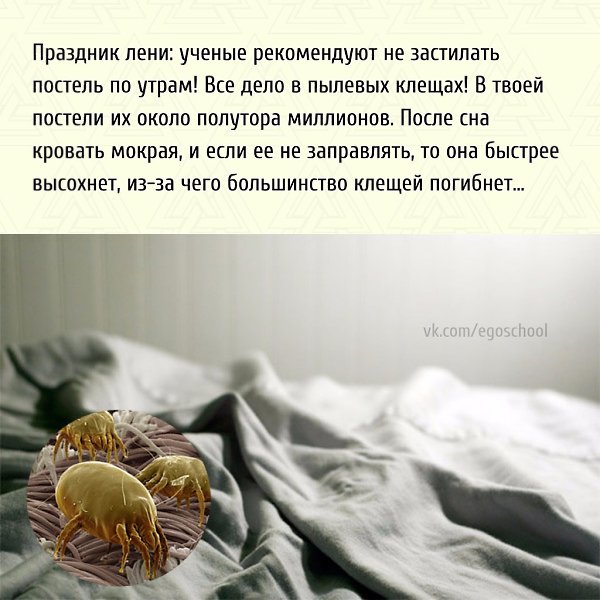  | ,  - 5  2021  19:24