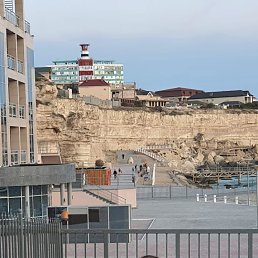 �����, �����, 49 ���