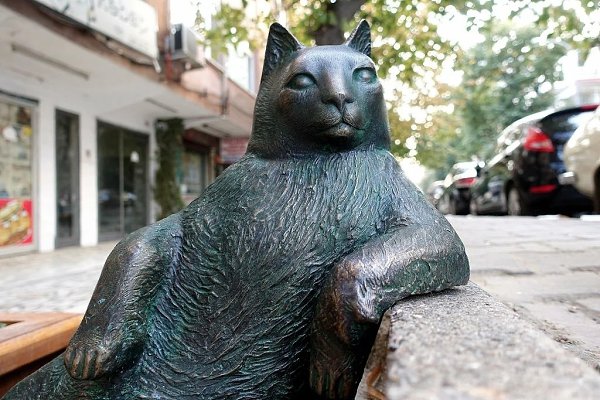 Бродячий котик Томбили в Стамбуле любил полежать y кафе. .Он стал своеобразным символом. После его ... - 5