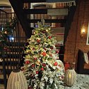 ���� �����, ���������, 64 ���� - ��������� 30 ������� 2020 � ������ ���� ����������