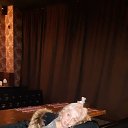 ���� ����, ������ - ��������� 22 ������� 2020 � ������ ���� ����������