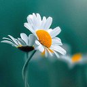 ���� ������ �����i���, ������� - ��������� 7 ������ 2020 � ������ ������ ��������