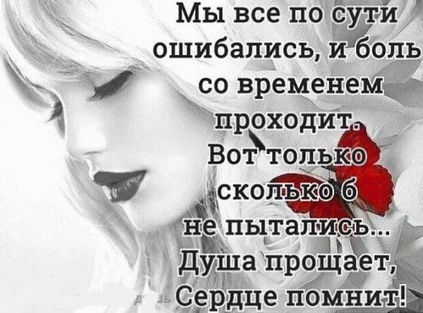   ! - 8  2020  12:04