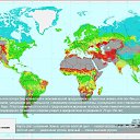  , , 47  -  29  2020    