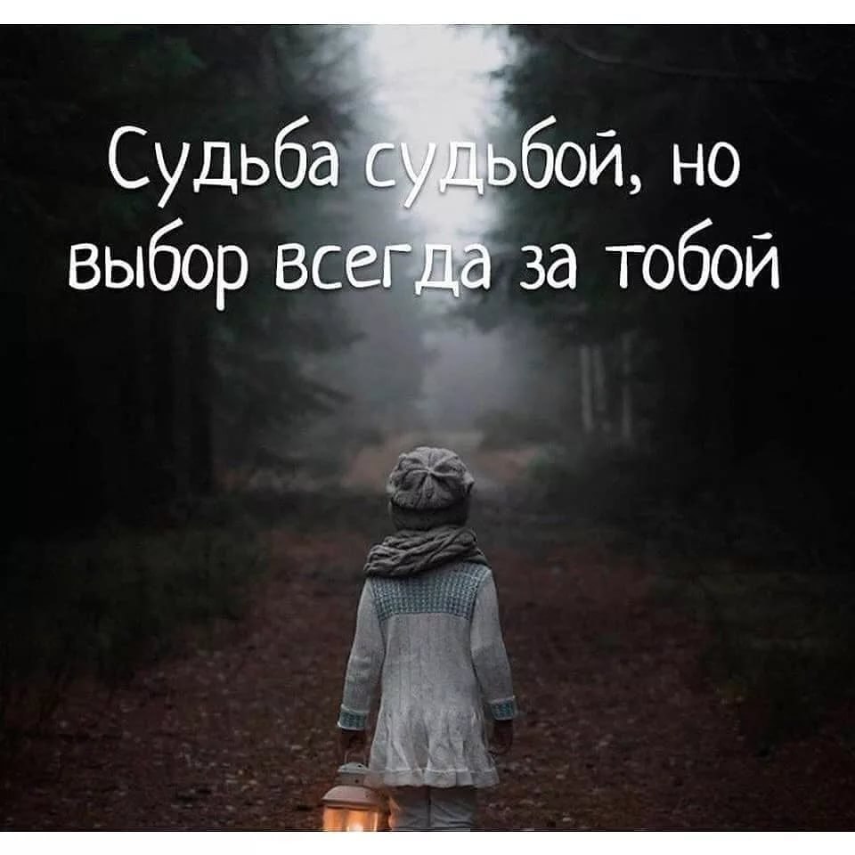        . ,    . ,   ... - 6