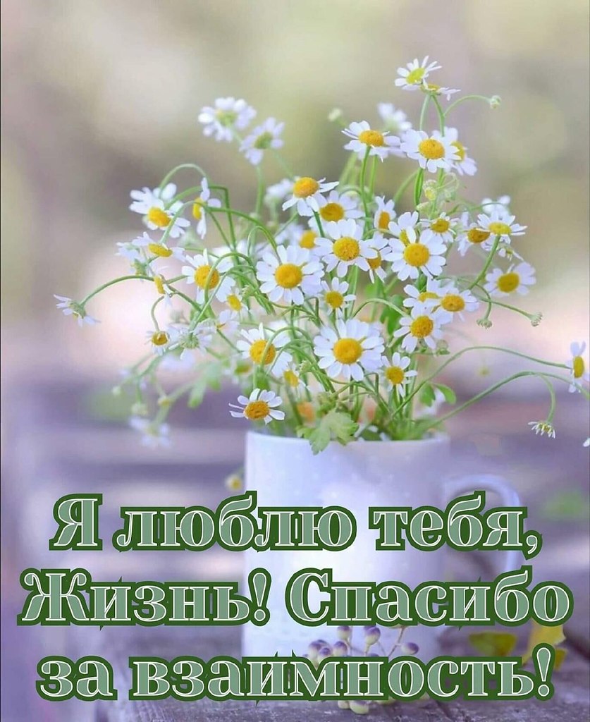   ,    . - 20  2021  16:59 - 3