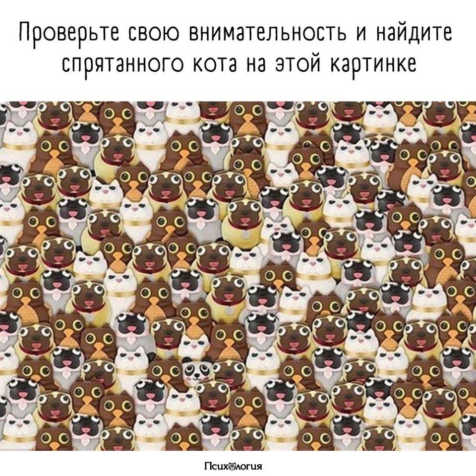,    ?
