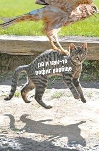      ,       - 2