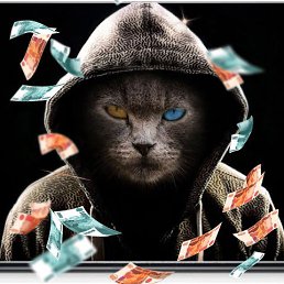 ������ , ��������, 48 ���