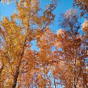 ���� ��������, ���� - ��������� 28 ������ 2020 � ������ ���� ����������