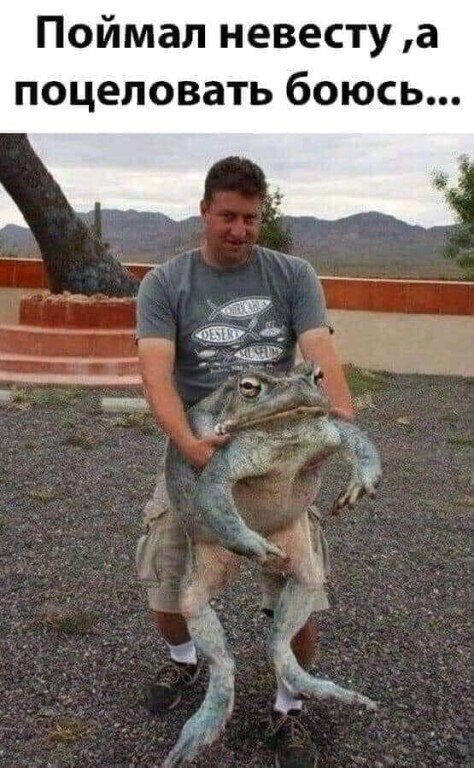      ))
