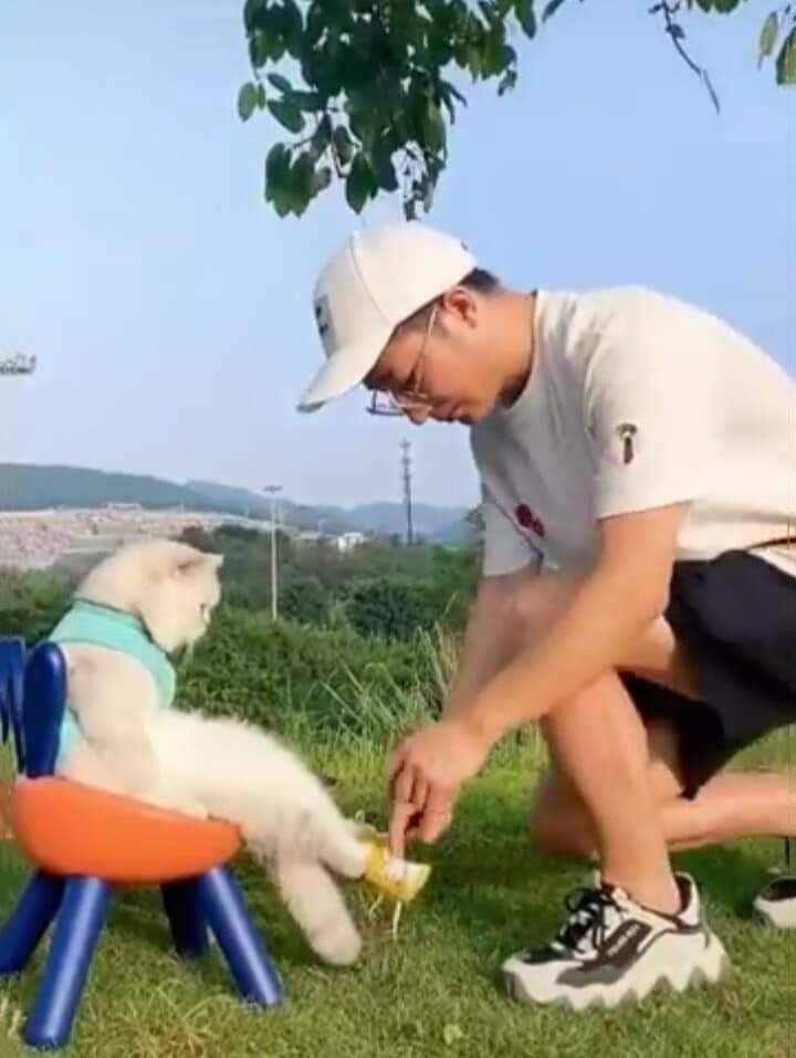 ,  ,      