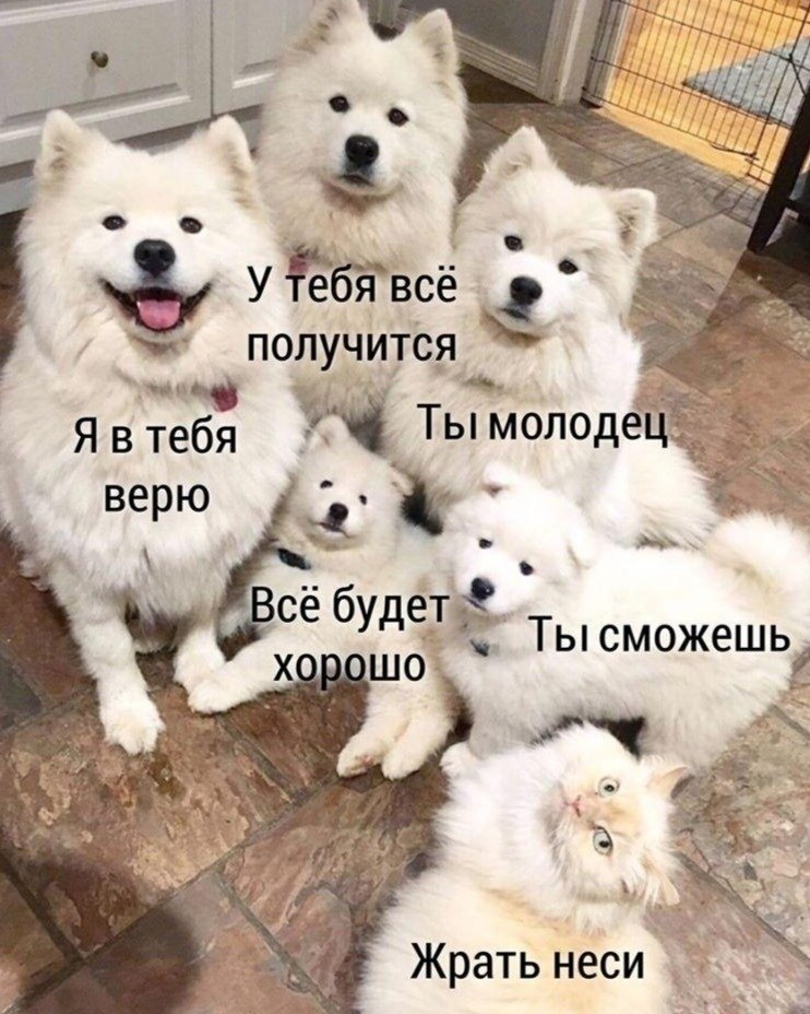  :