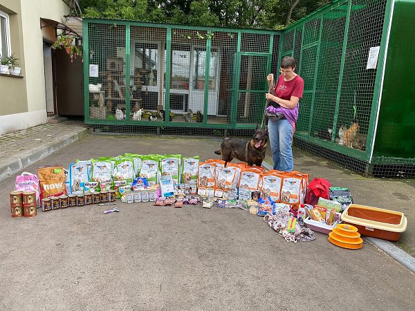 Подарки питомцам приютов. Слова благодарности выражаем всем неравнодушным людям, которые передают ...