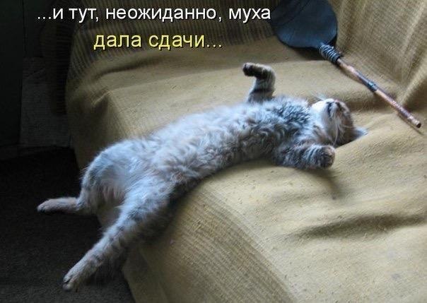    - 5  2021  17:43