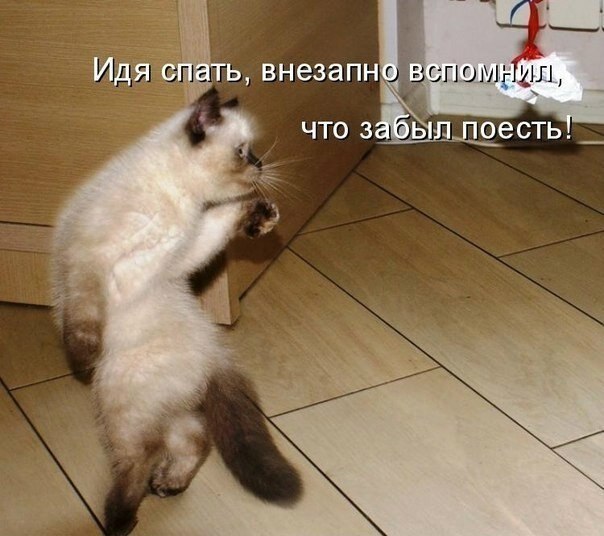    - 15  2021  14:21