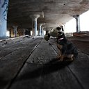 ���� ���������, ������, 39 ��� - ��������� 15 ������ 2020 � ������ ������ ��������