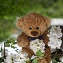 ���� �ntonija, ����������, 57 ��� - ��������� 5 ������� 2020 � ������ ���� ����������