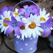 Анита, , Новокузнецк Анита, , Новокузнецк