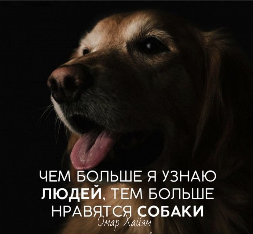 ,        .   